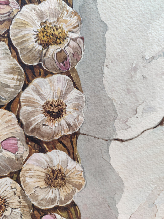 Isidro Ventura – Pipetta