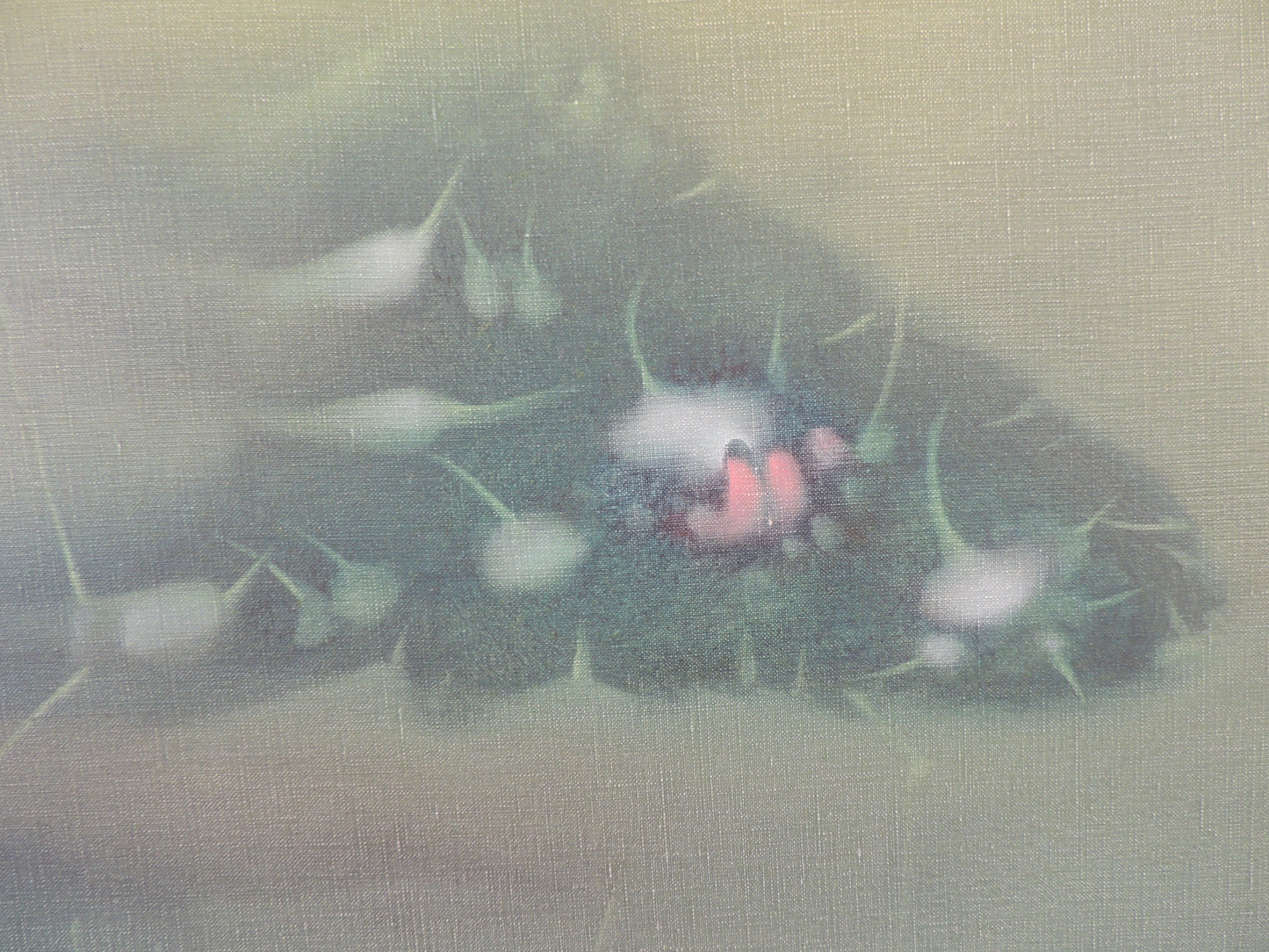 Mauro Mejíaz - Cosmos 2-B