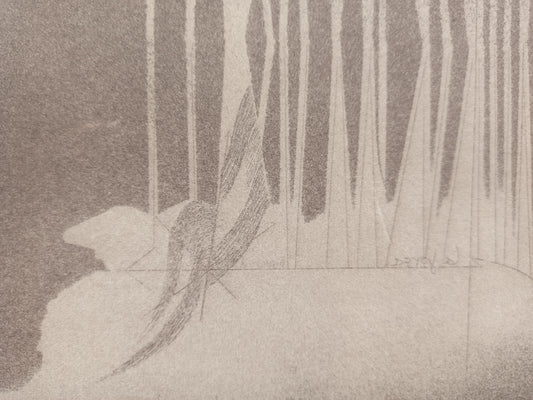 Grabado edición limitada arte contemporáneo Antoni Miró Forga i raó detalle Gaudifond