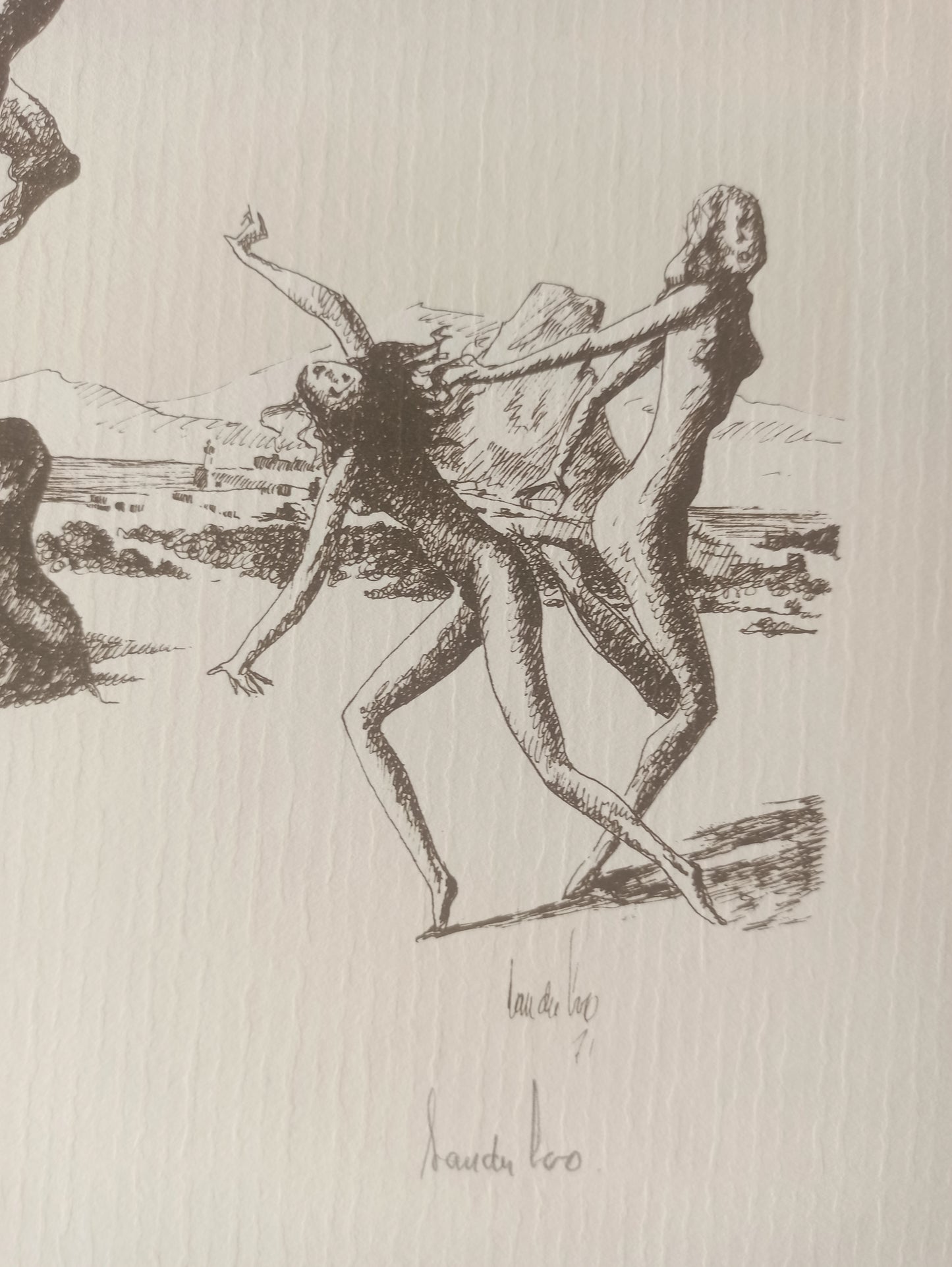 Jan Van Der Loo - Le Cheval de Vasarely