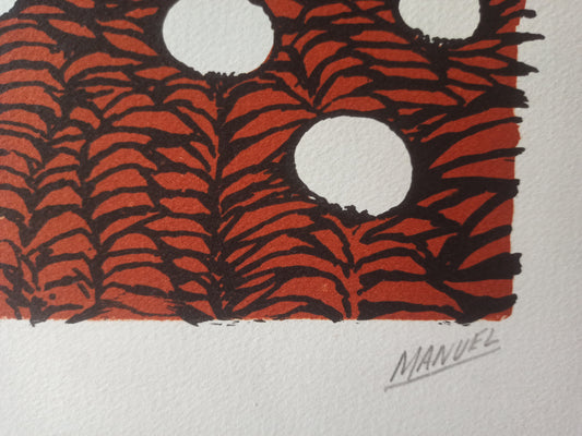 Manuel Carmona - Gyapotmalmok