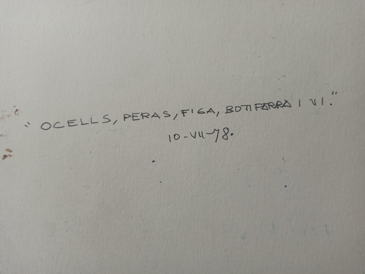 Josep Maria Rovira-Brull - Ocells, figa, pera, botifarra