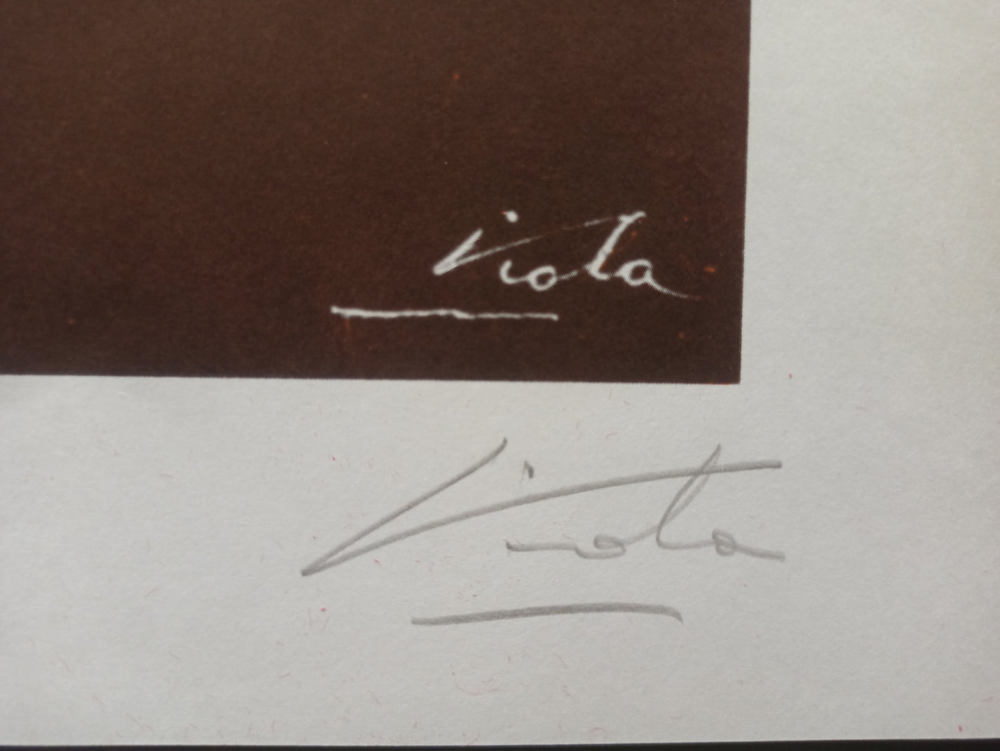 Manuel Viola litografia Gaudifond firma