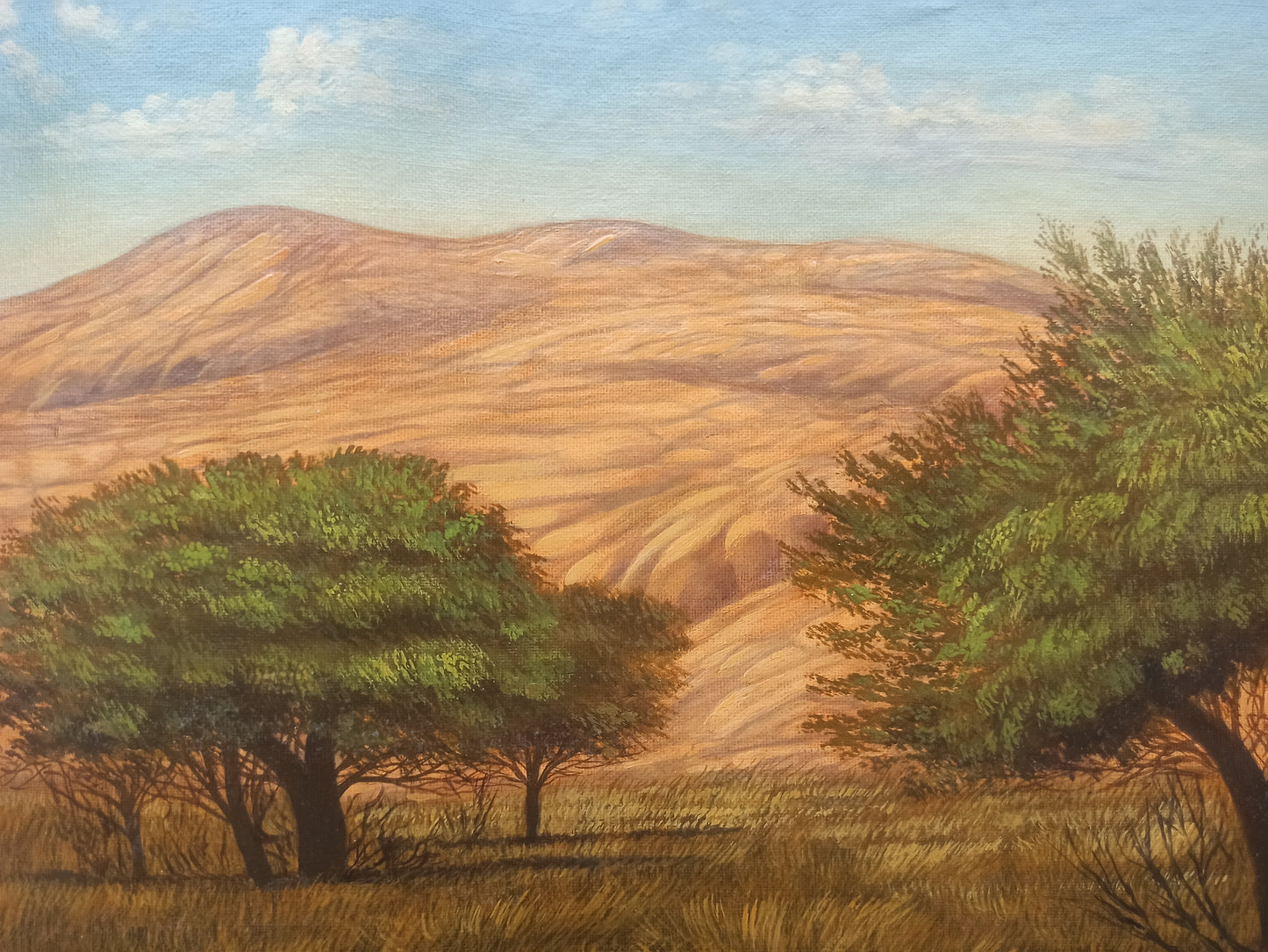 Gregorio Sabillón – II