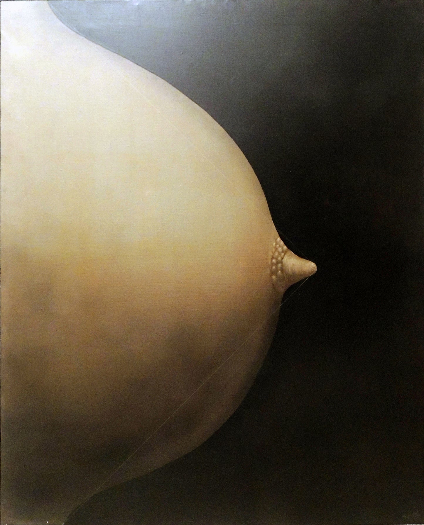 Sento Masiá - Módulo humano