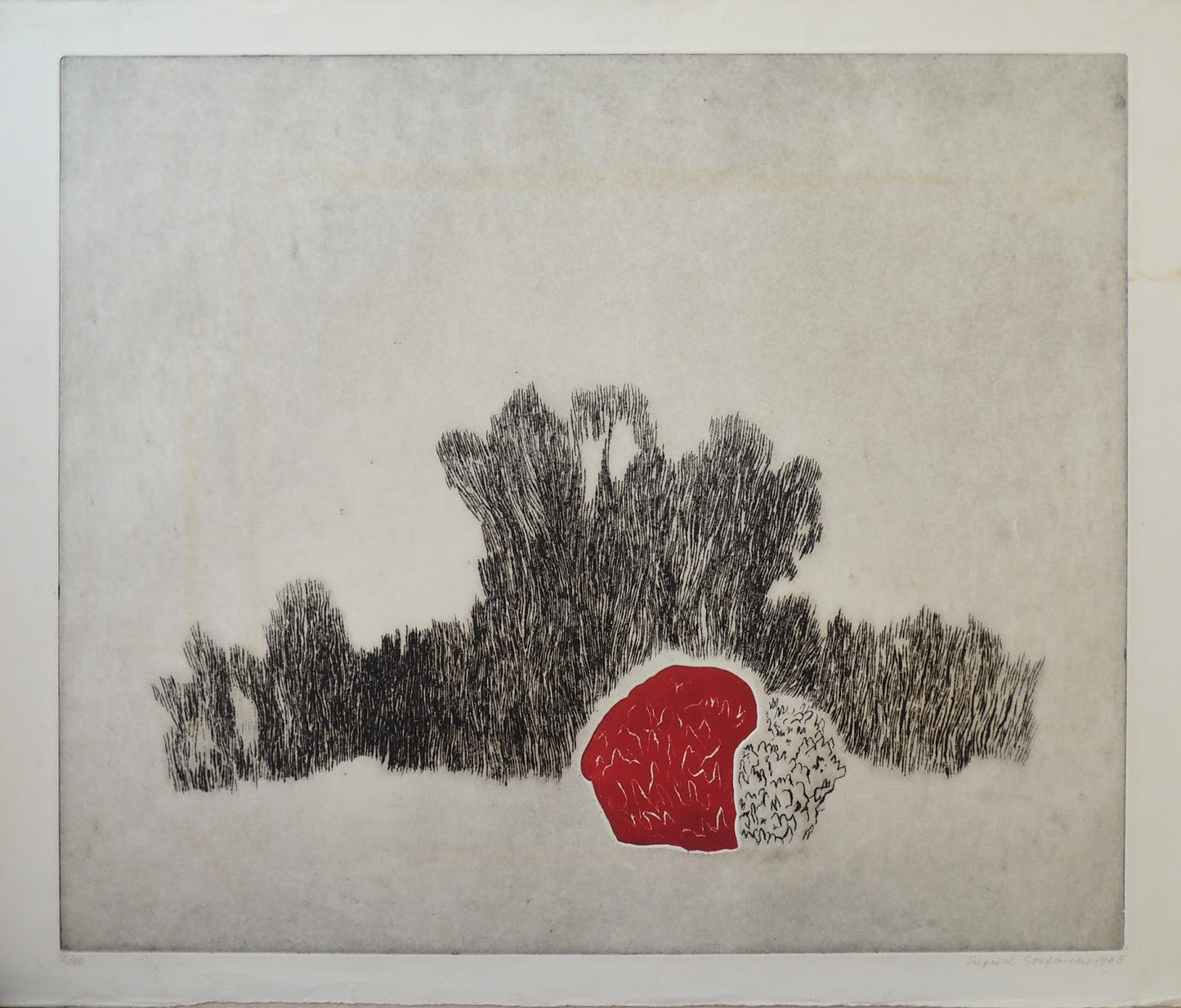 Siegrid Stefanow - Víz alatti növény