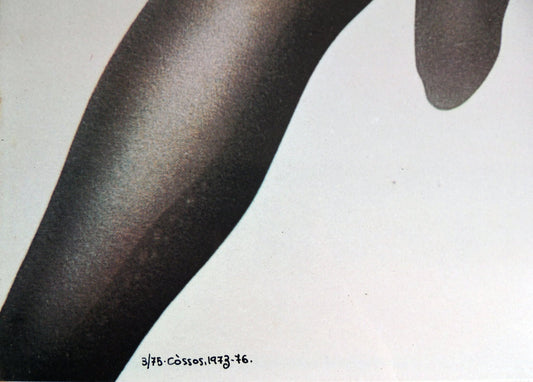 Cossos de Antoni Miró, obra perteneciente a la serie L’home avui. Técnica mixta sobre chapa metálica que explora la condición humana, la identidad y la resistencia mediante una potente combinación de realismo, pop-art y crítica social contemporánea detalle