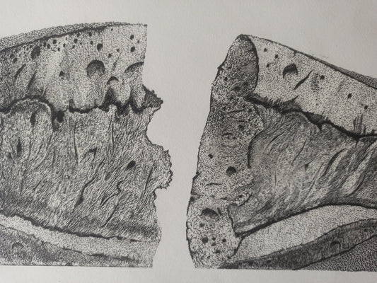 Aguafuerte de Pablo Serrano, Barra de Pan, obra gráfica original sobre el pan como símbolo de unión, amor y solidaridad en el arte contemporáneo español, detalle