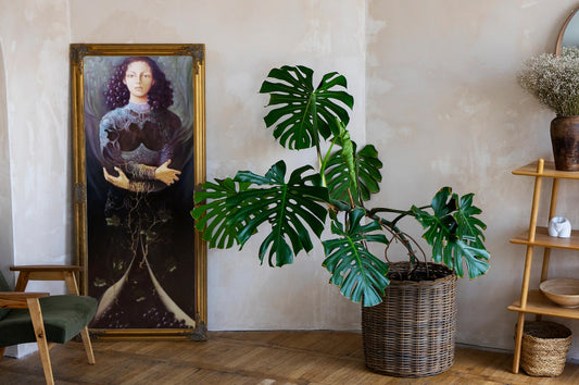 Alberto Pancorbo – Felemelkedés