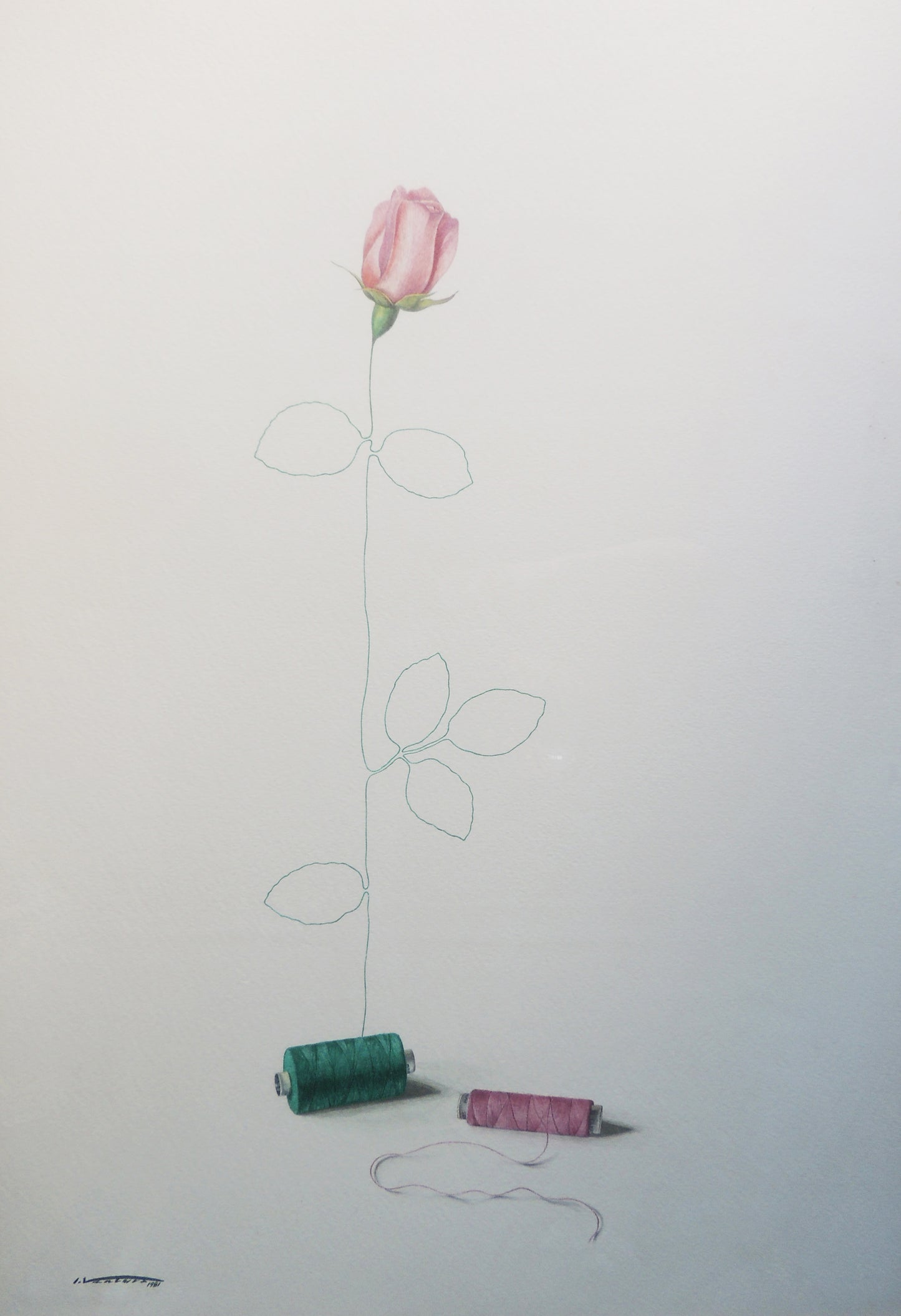 Isidro Ventura – Fils i rosa