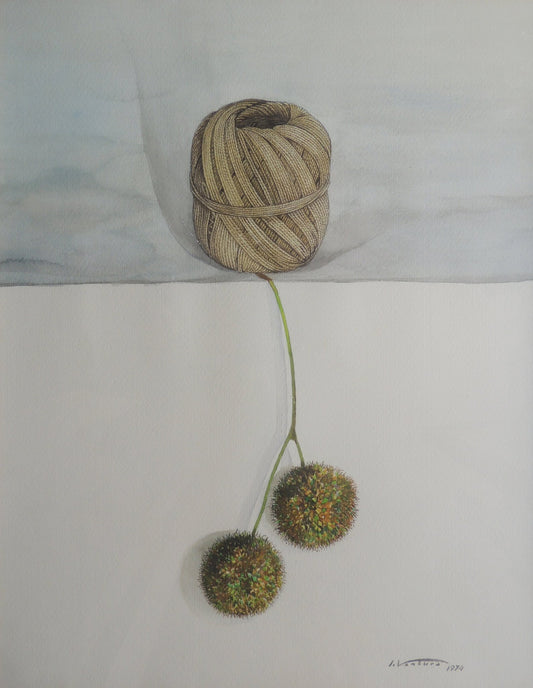 Isidro Ventura - Cordill i boles d’arbre, acuarela surrealista con cordel y formas vegetales suspendidas sobre fondo minimalista.