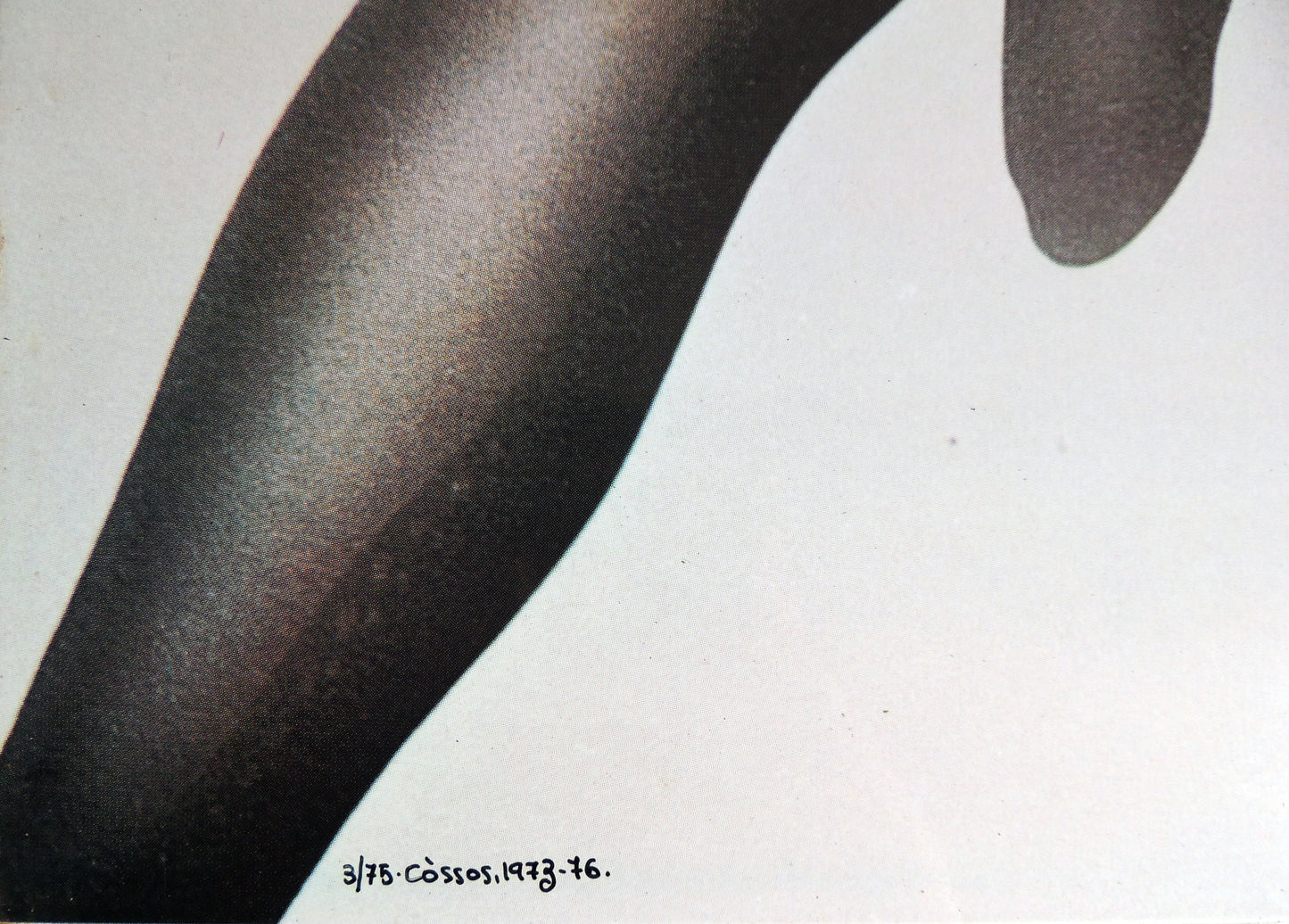 Impresión sobre plancha metálica edición limitada arte contemporáneo Antoni Miró Cossos detalle Gaudifond
