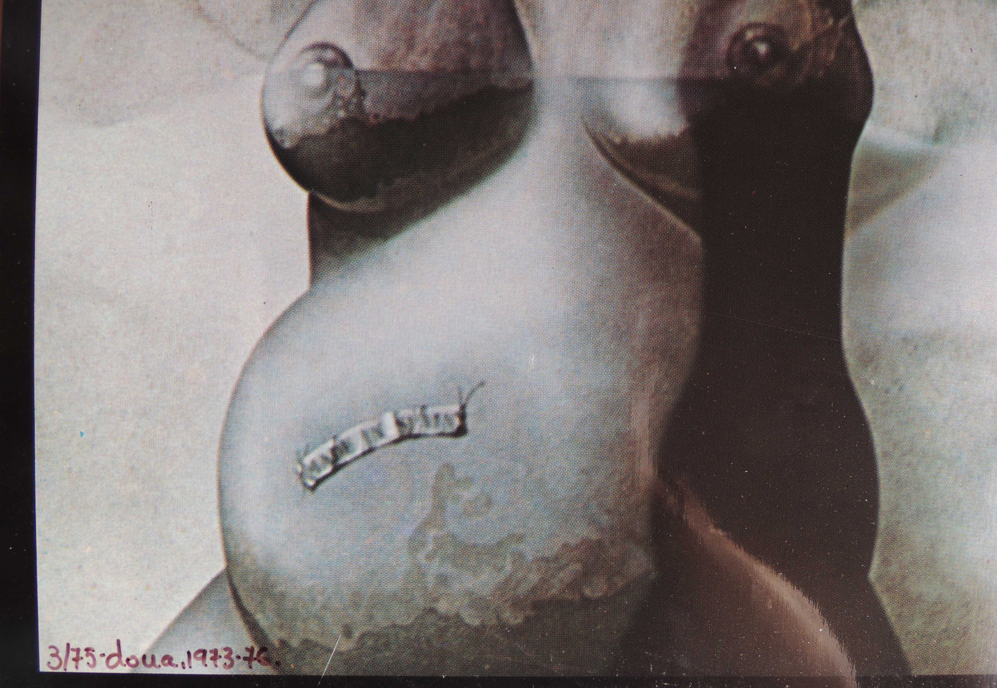 Impresión sobre plancha metálica edición limitada arte contemporáneo Antoni Miró Dona detalle Gaudifond