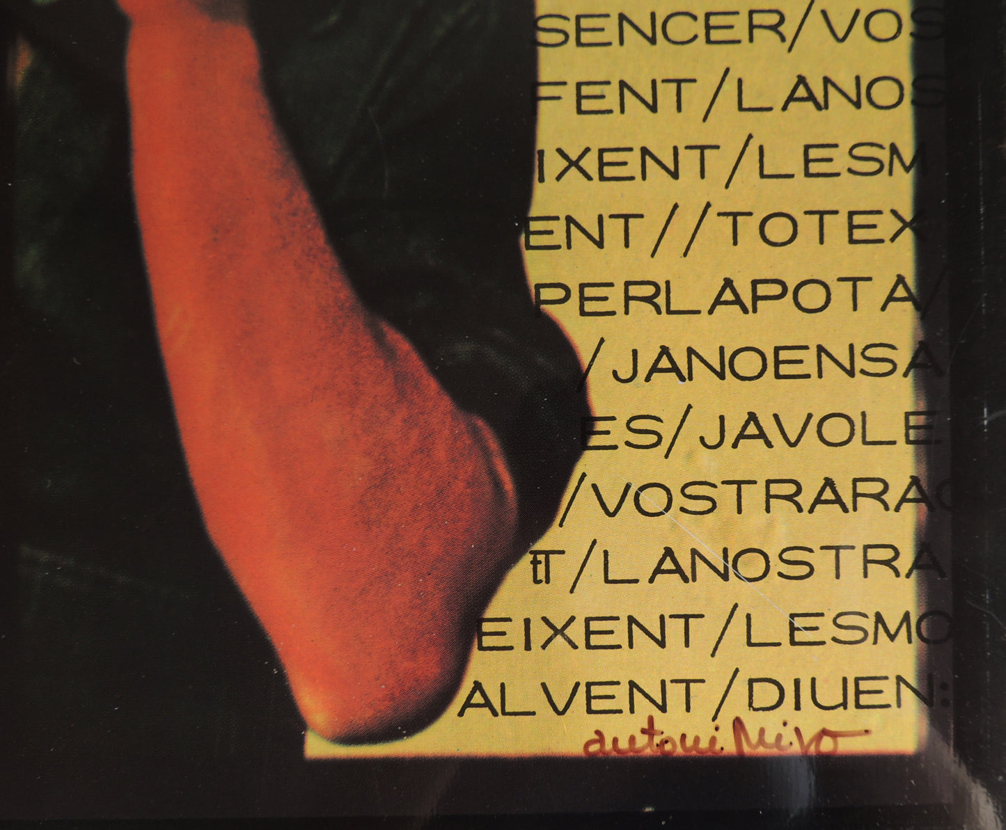 Impresión sobre plancha metálica edición limitada arte contemporáneo Antoni Miró Reixa firma Gaudifond