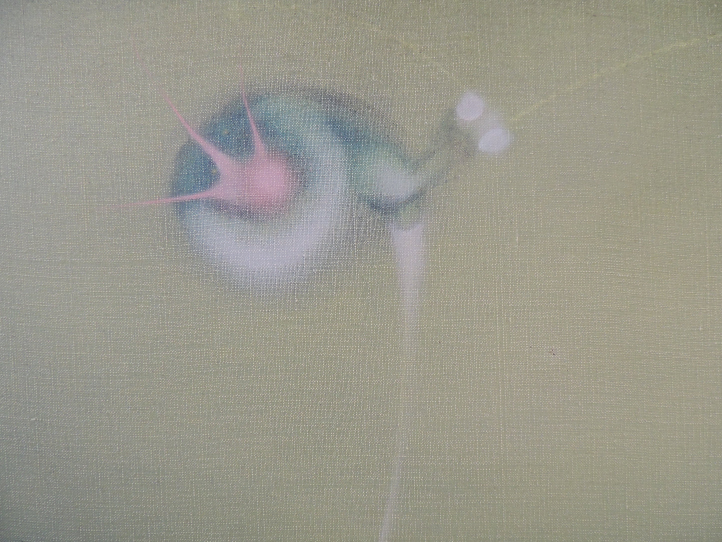 Mauro Mejíaz - Cosmos 2-B