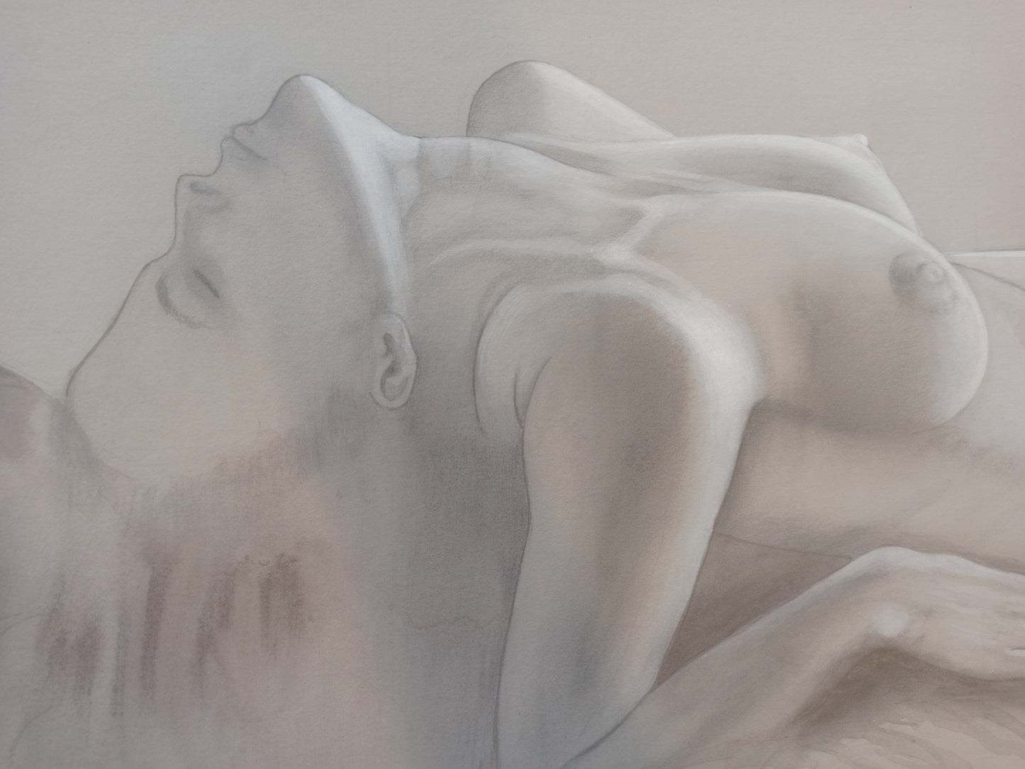 Gregorio Sabillon dibujo desnudo mujer gris detalle Gaudifond