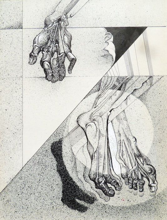 Joan Rifà - A través