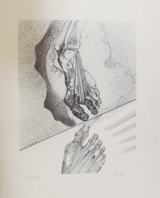 Joan Rifà - Natividad