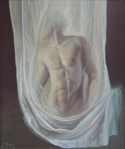 José Marí Llobet - Transparencia II