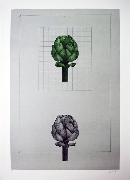 Carles Planell Alcachofa grabado minimalista botánico Gaudifond