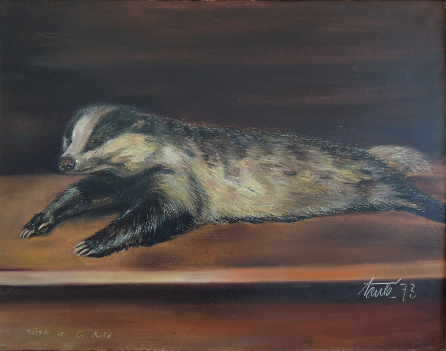 Antoni Taulé - A punto de saltar, pintura contemporánea de un tejón recostado sobre fondo oscuro y atmósfera poética.