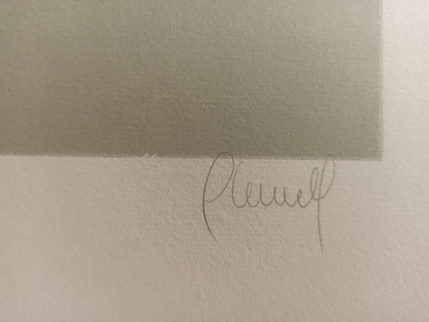 Carles Planell Alcachofa litografía edición limitada obra gráfica, arte contemporánea detalle firma