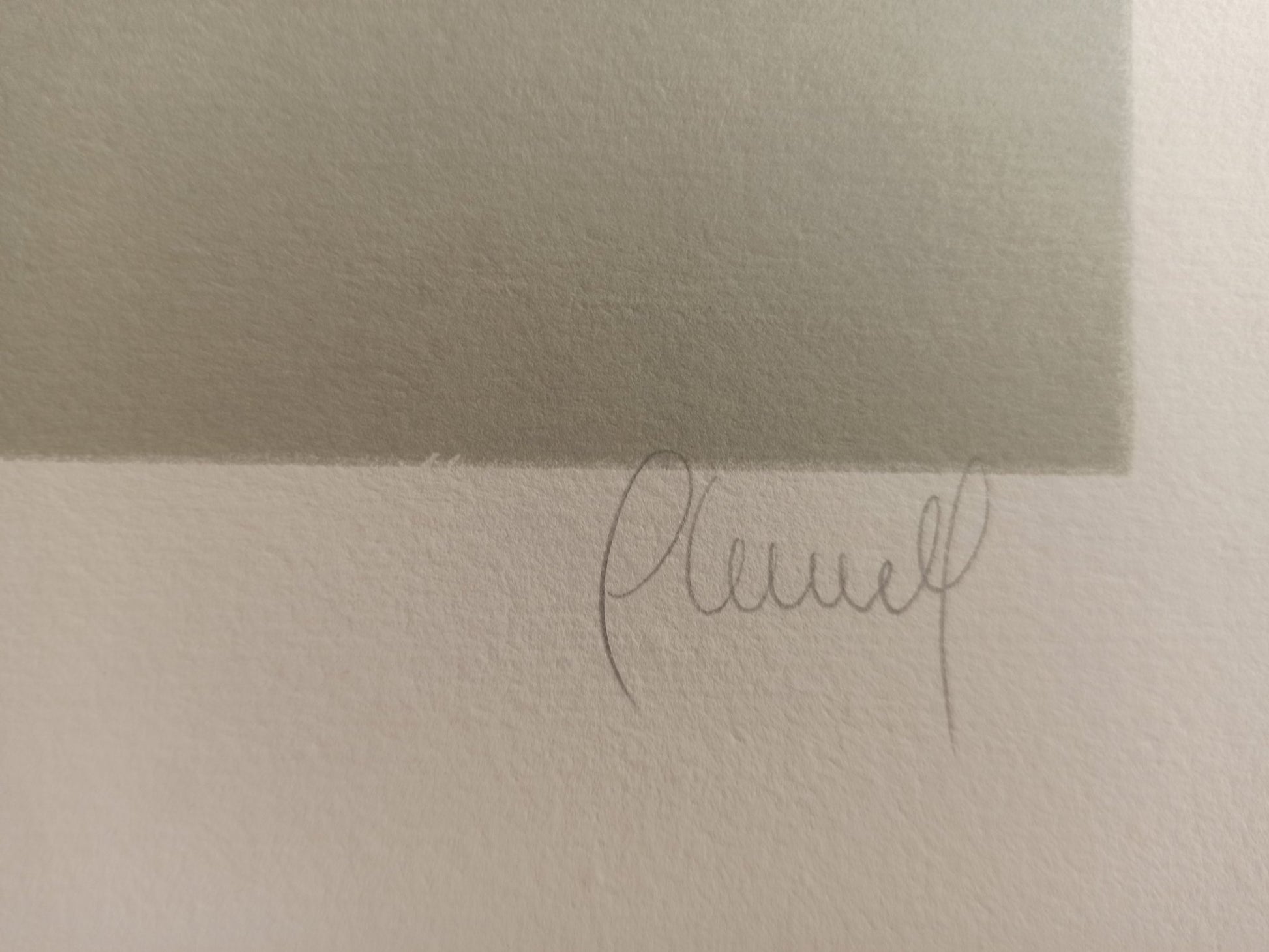 Carles Planell Alcachofa litografía edición limitada obra gráfica, arte contemporánea detalle firma