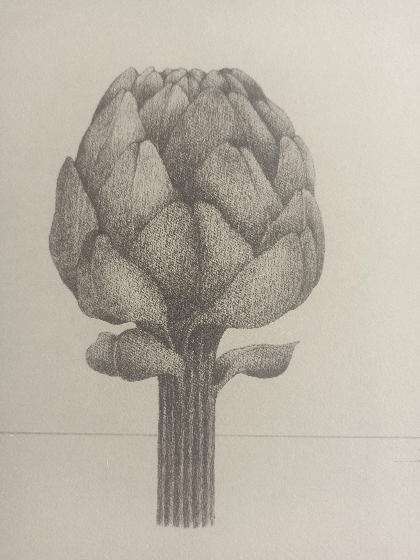 Carles Planell Alcachofa litografía edición limitada obra gráfica, arte contemporánea detalle dibujo