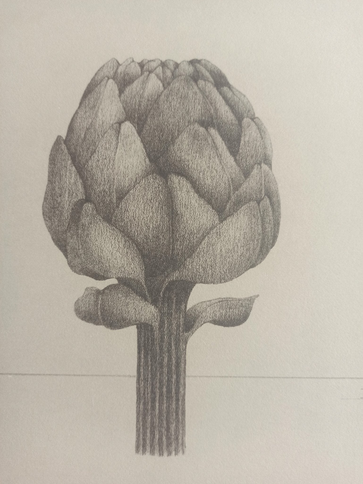 Carles Planell Alcachofa litografía edición limitada obra gráfica, arte contemporánea detalle dibujo