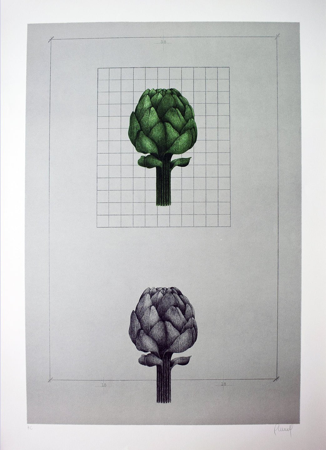 Carles Planell Alcachofa litografía edición limitada obra gráfica, arte contemporánea