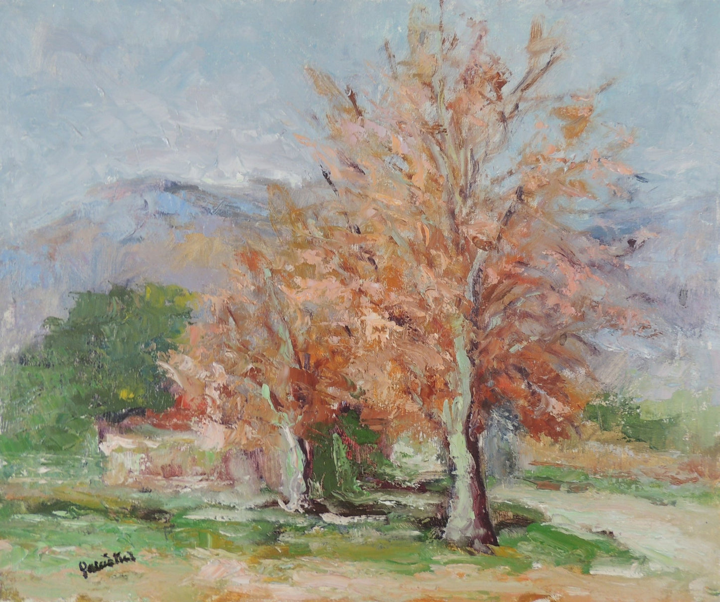 cuadro original de vendor Emiliano García Tur - El Vallès arte contemporáneo en Gaudifond