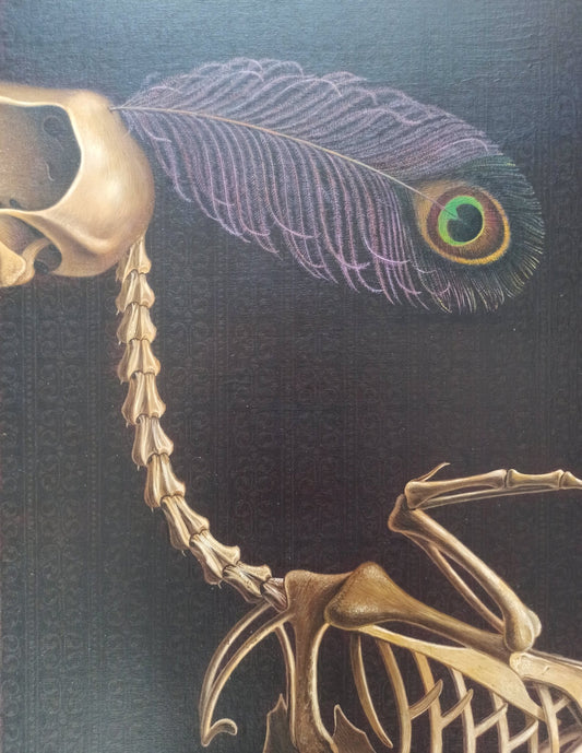 Cuadro El pavo real de Gervasio Gallardo con esqueleto de pavo real y pluma iridiscente en detalle