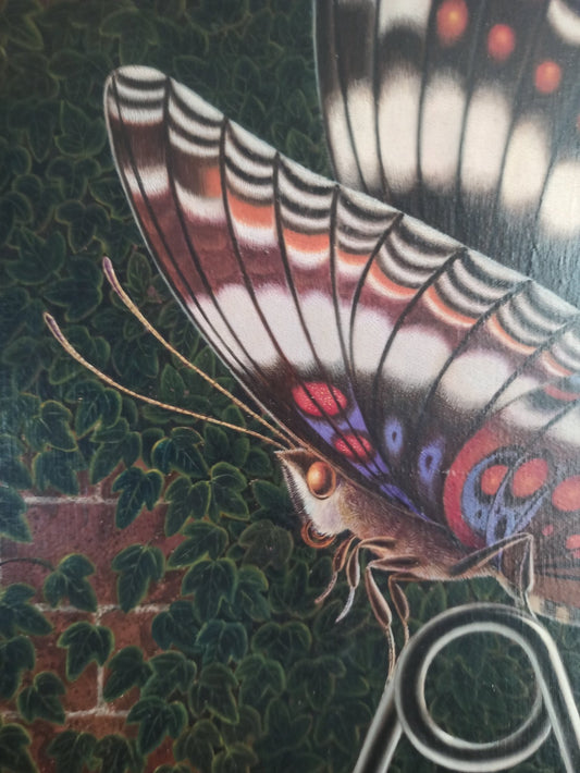 detalle de cuadro original de Gervasio Gallardo - El Reflejo. Mariposa hiperrealista 