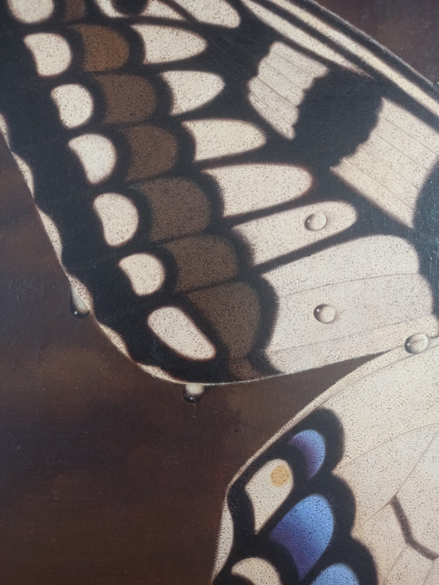 cuadro surrealista de Gervasio Gallardo Luz de tinieblas pintura mariposa detalle hiperrealista alas