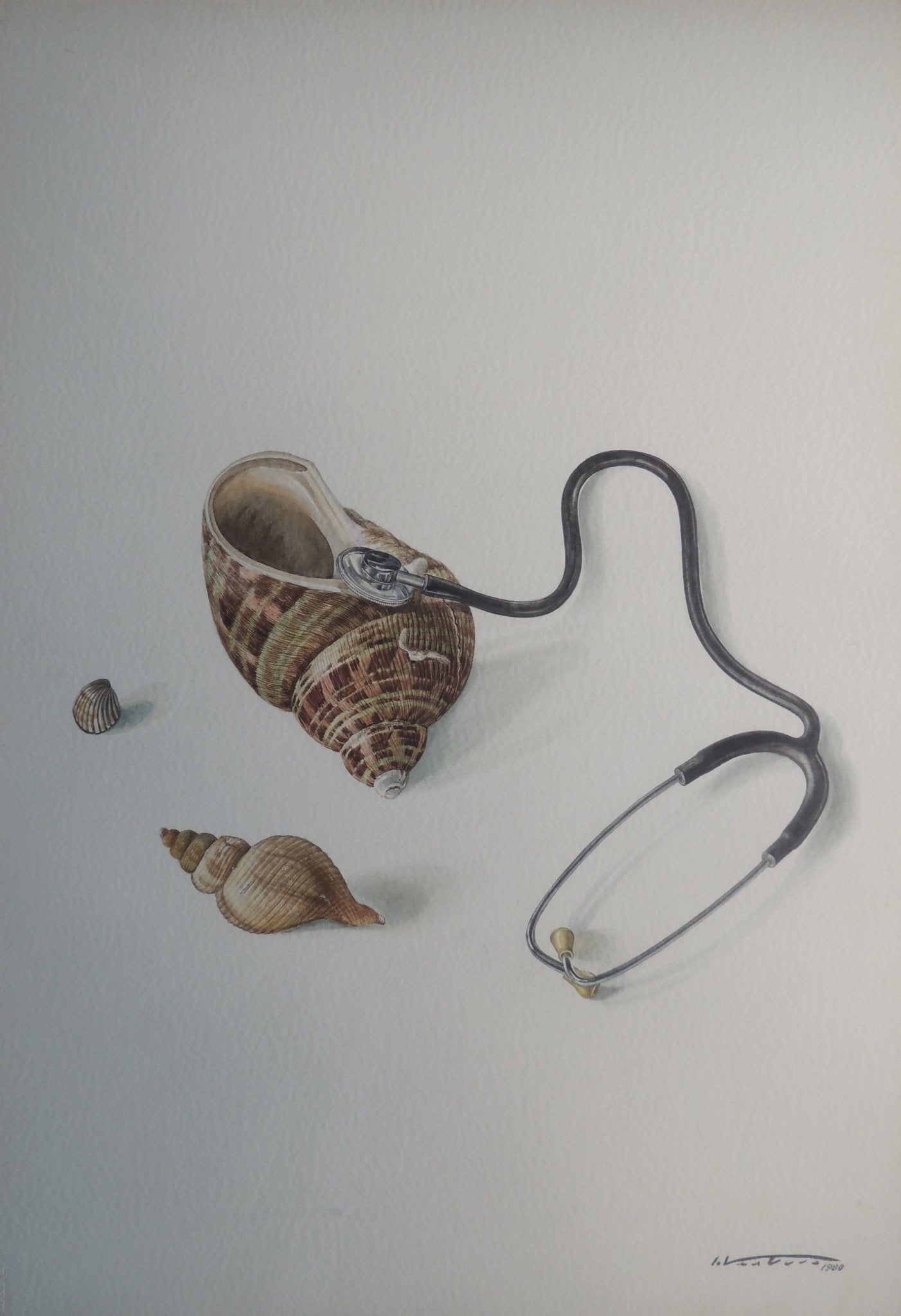 Isidro Ventura - Fonendoscopio, acuarela hiperrealista con caracolas marinas y fonendoscopio sobre fondo neutro.