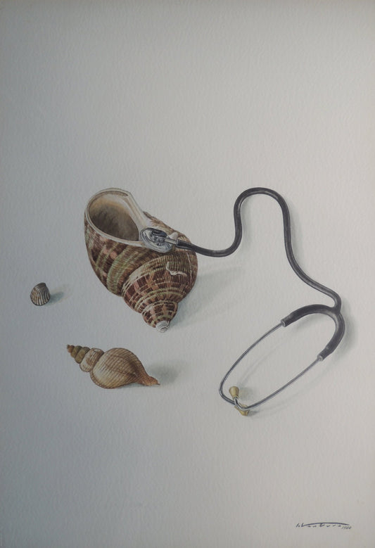 Isidro Ventura - Fonendoscopio, acuarela hiperrealista con caracolas marinas y fonendoscopio sobre fondo neutro.