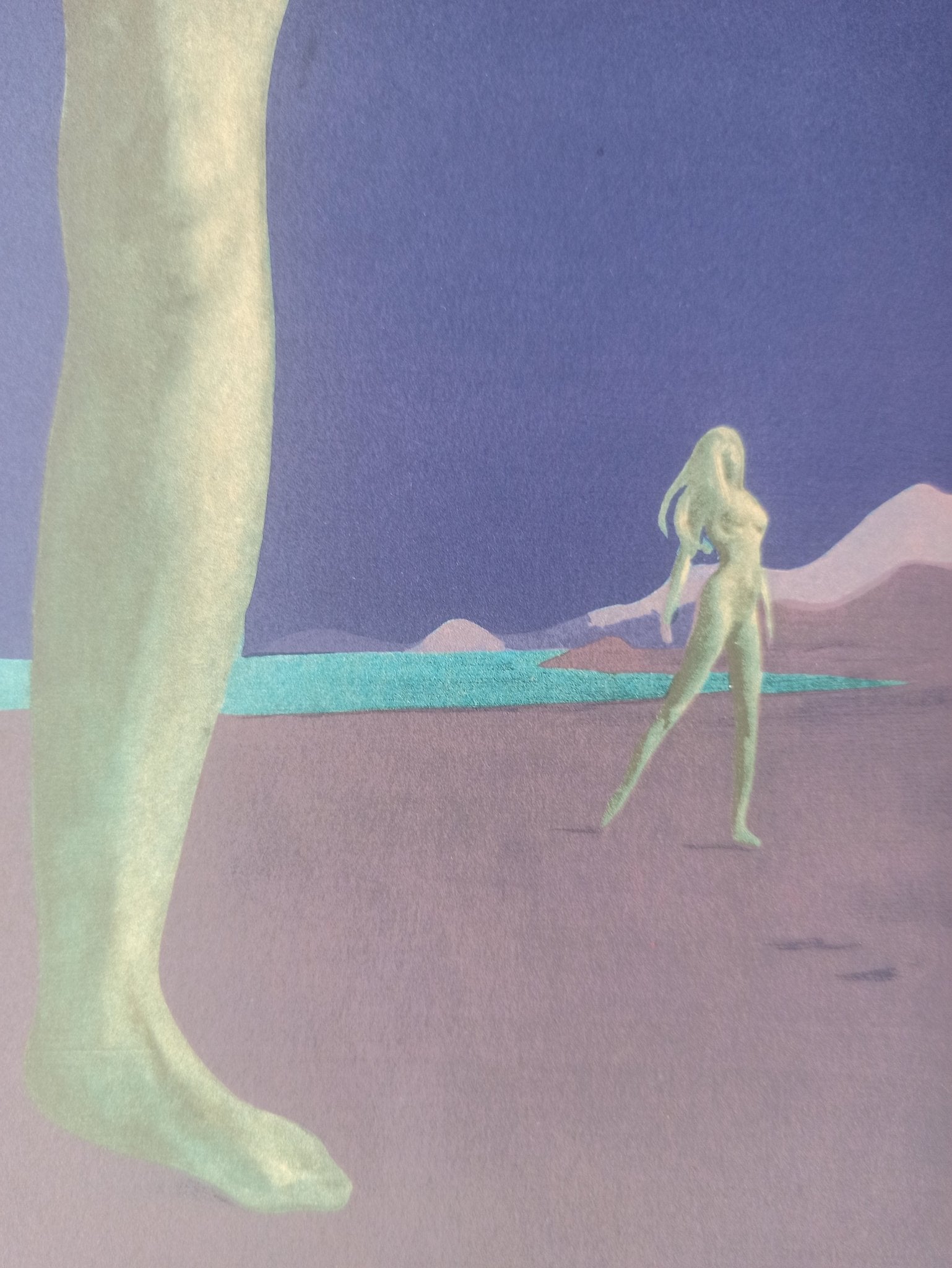 cuadro original de vendor Jan Van Der Loo - Métamorphose arte contemporáneo en Gaudifond