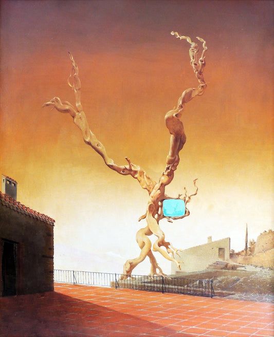 Jan Van Der Loo - Hallucination télévisée