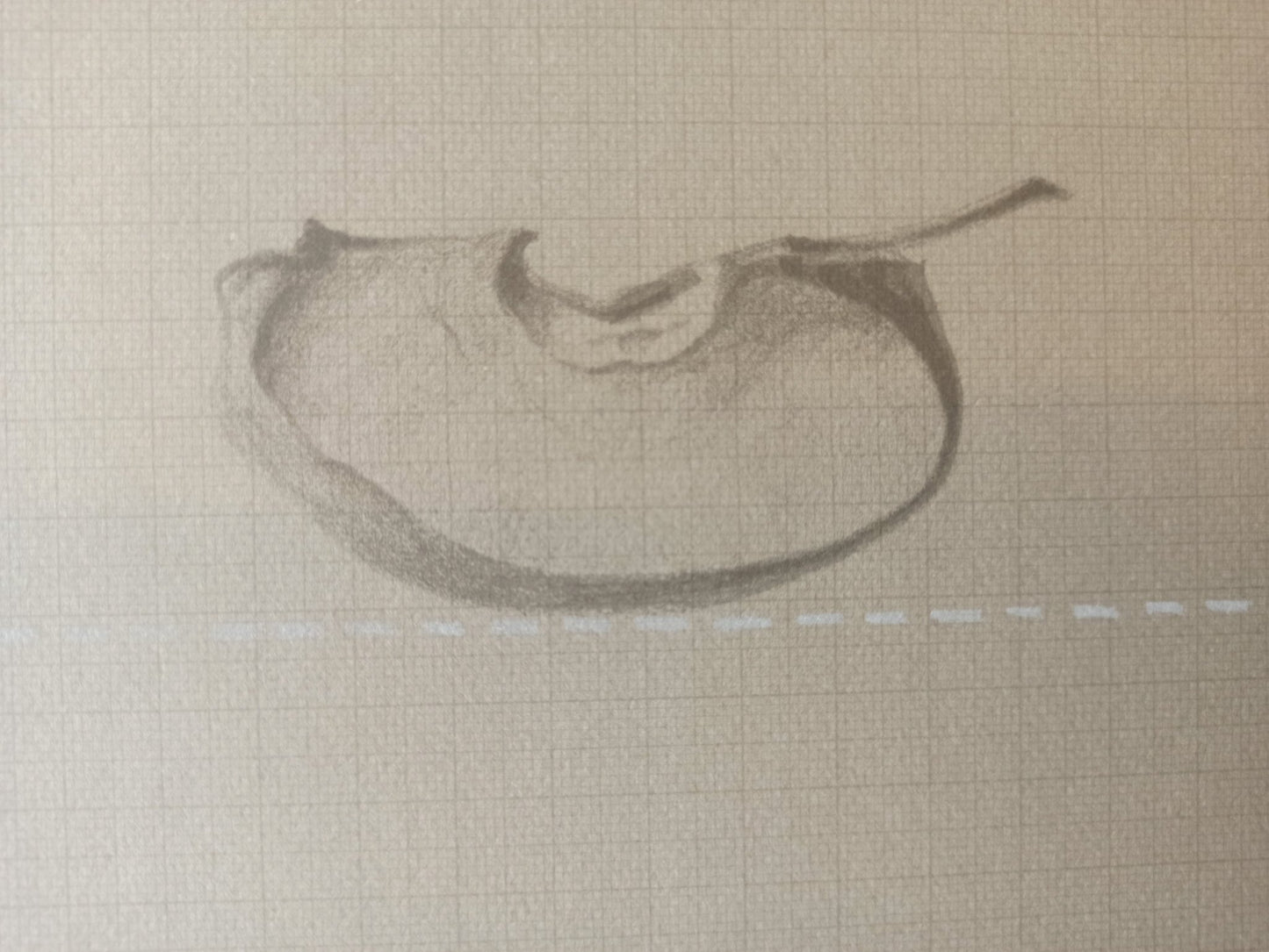 Litografía de Joan Hernández Pijuán, Cuart de Poma, obra gráfica original, detalle manzana