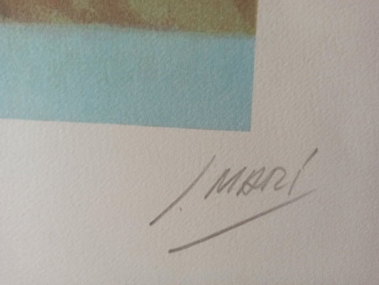 cuadro original de vendor José Marí Llobet - Espejo roto arte contemporáneo en Gaudifond