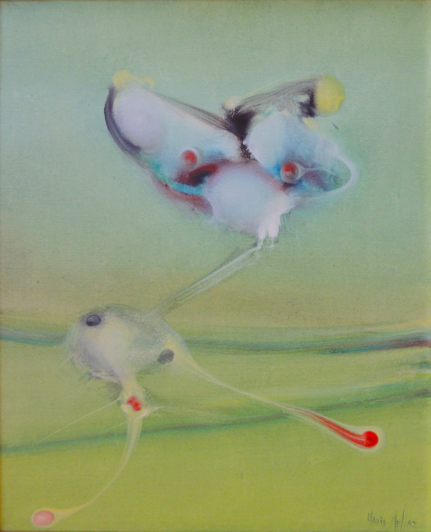 cuadro original de vendor Mauro Mejíaz - Mariposa arte contemporáneo en Gaudifond