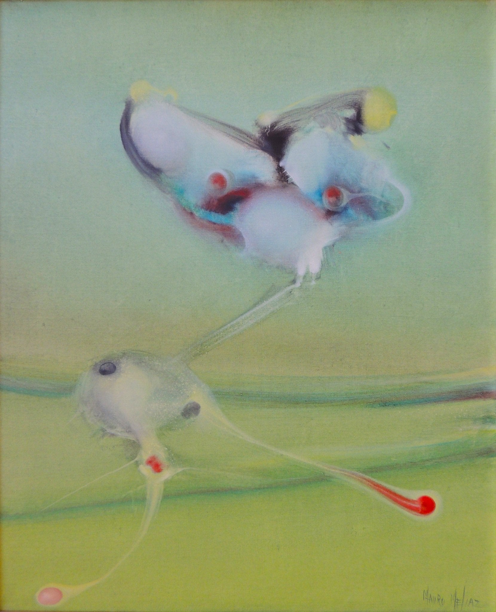 cuadro original de vendor Mauro Mejíaz - Mariposa arte contemporáneo en Gaudifond