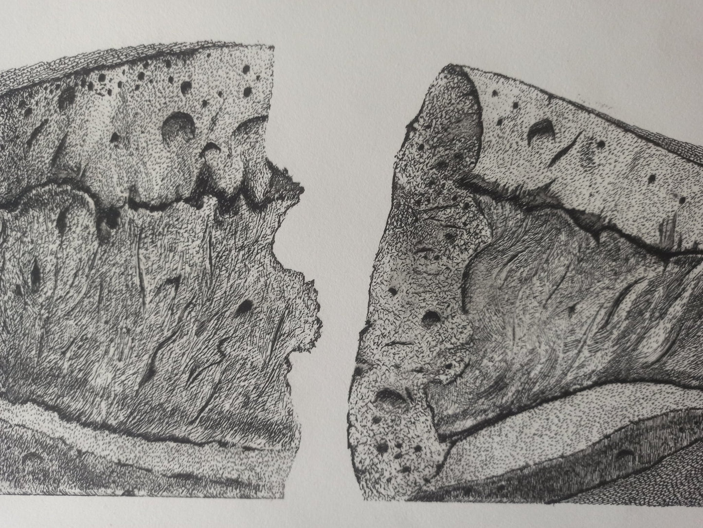 Aguafuerte de Pablo Serrano, Barra de Pan, obra gráfica original sobre el pan como símbolo de unión, amor y solidaridad en el arte contemporáneo español, detalle