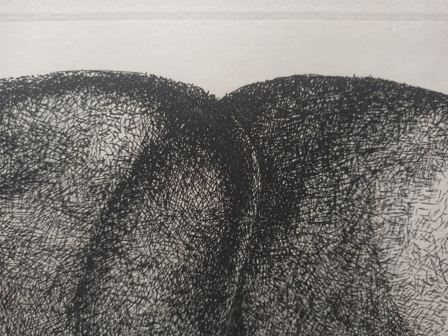 Aguafuerte de Pablo Serrano, Unidad-Yunta 2, obra gráfica original de arte contemporáneo español sobre la dualidad de fuerzas opuestas, detalle pincelada